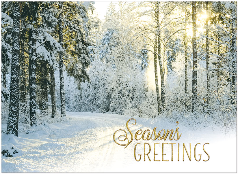 Winter Road Holiday Card H1527U-AA