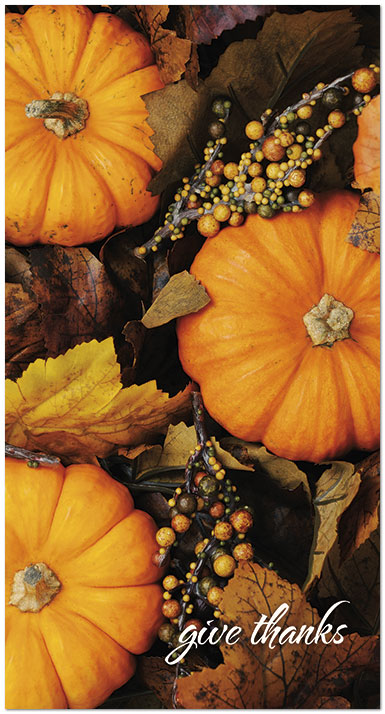 Mini Pumpkins Card D1688T-B