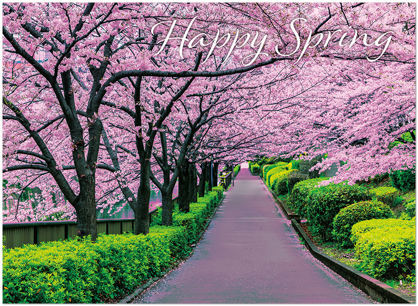 In Full Bloom D2542U-Y