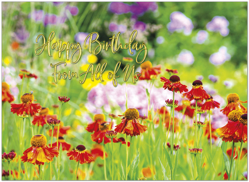 Flowers From All A2705G-W