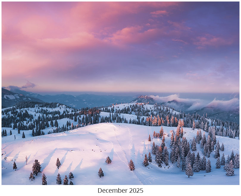 Scenic Seasons Wall Calendar DWP1126