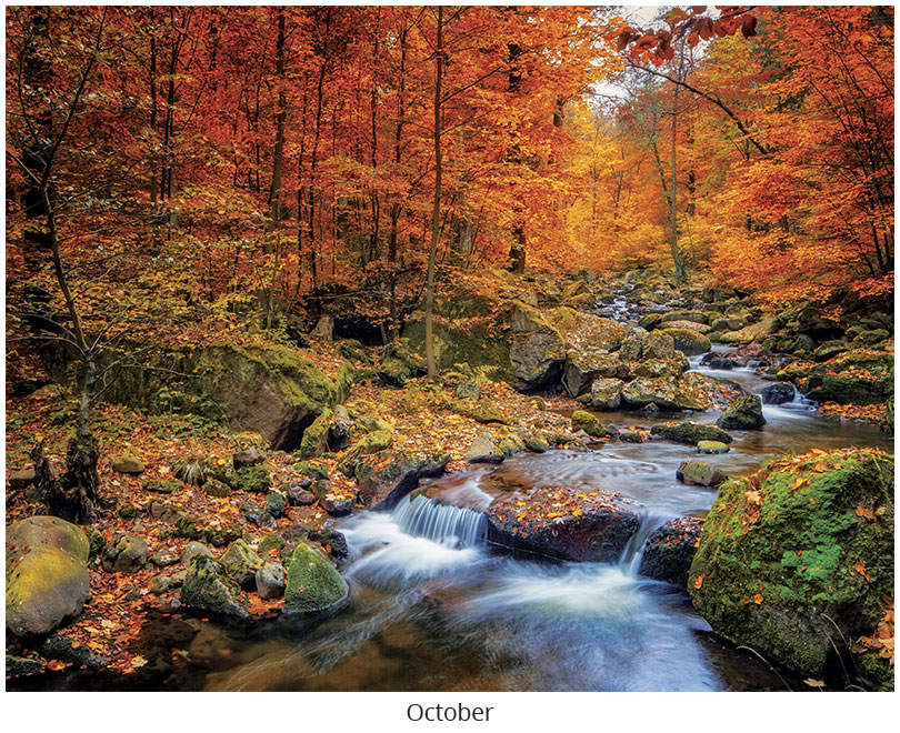 Scenic Seasons Wall Calendar DWP1126