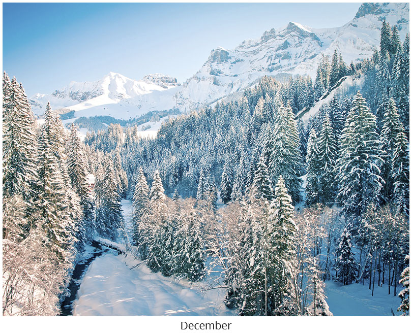 Scenic Seasons Wall Calendar DWP1126