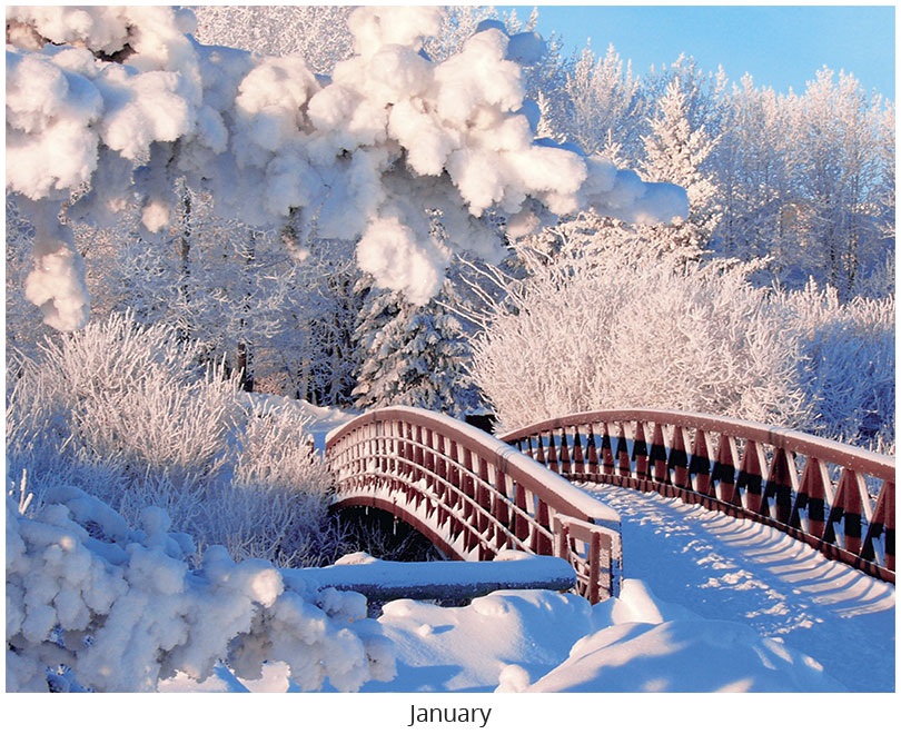 Scenic Seasons Wall Calendar DWP1126