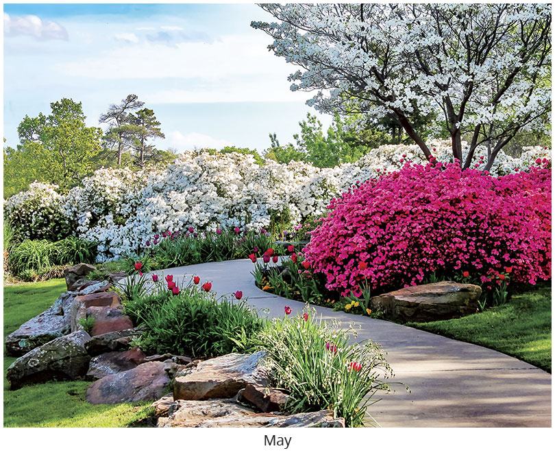 Scenic Seasons Wall Calendar DWP1126