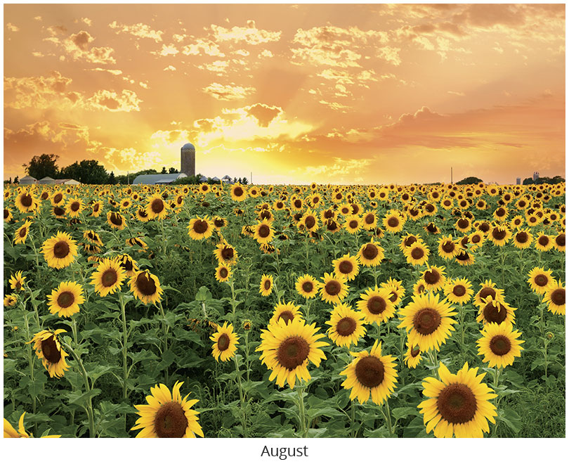 Scenic Seasons Wall Calendar DWP1126
