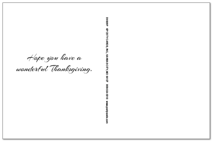 Graphic Thanksgiving Postcard D5120P-BB