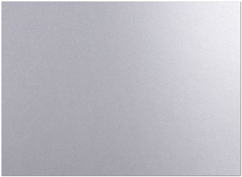 Winter Berry Holiday Card H6123S-4A