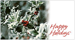 Holly Berries Holiday Card X585T-B