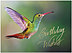 Hummingbird Birthday Card A8011U-X