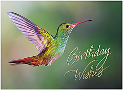 Hummingbird Birthday Card A8011U-X