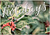 Merry Holidays Greeting Card H8205KW-AA