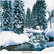 Scenic Seasons Wall Calendar DWP1125