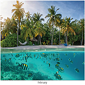 Scenic Seasons Wall Calendar DWP1125