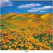 Scenic Seasons Wall Calendar DWP1125