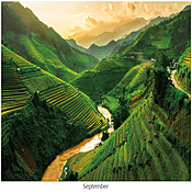 Scenic Seasons Wall Calendar DWP1125